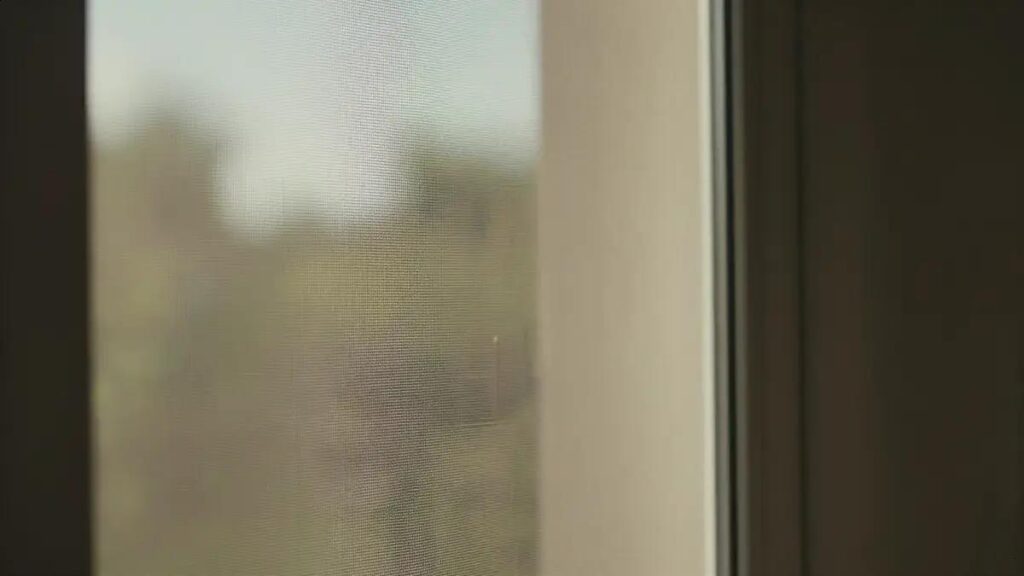 Dicas para evitar insetos: 15 estratégias testadas para proteger sua casa hoje