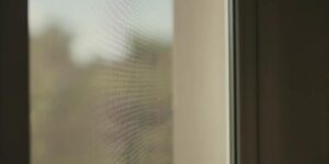 Dicas para evitar insetos: 15 estratégias testadas para proteger sua casa hoje